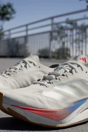 Women's Adizero Boston 12