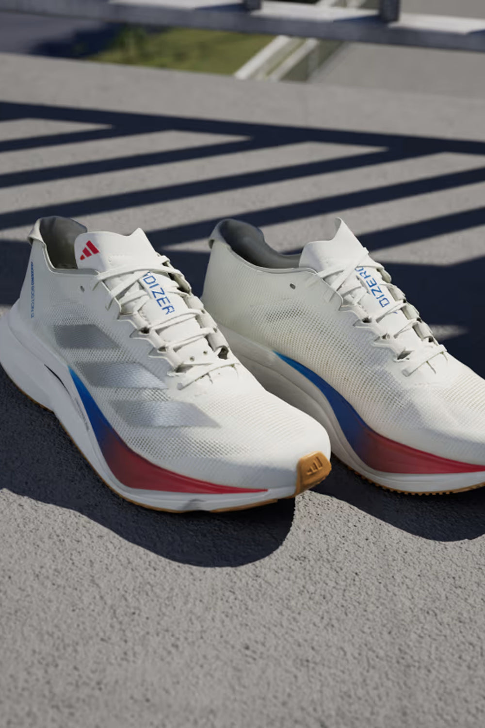 Women's Adizero Boston 12