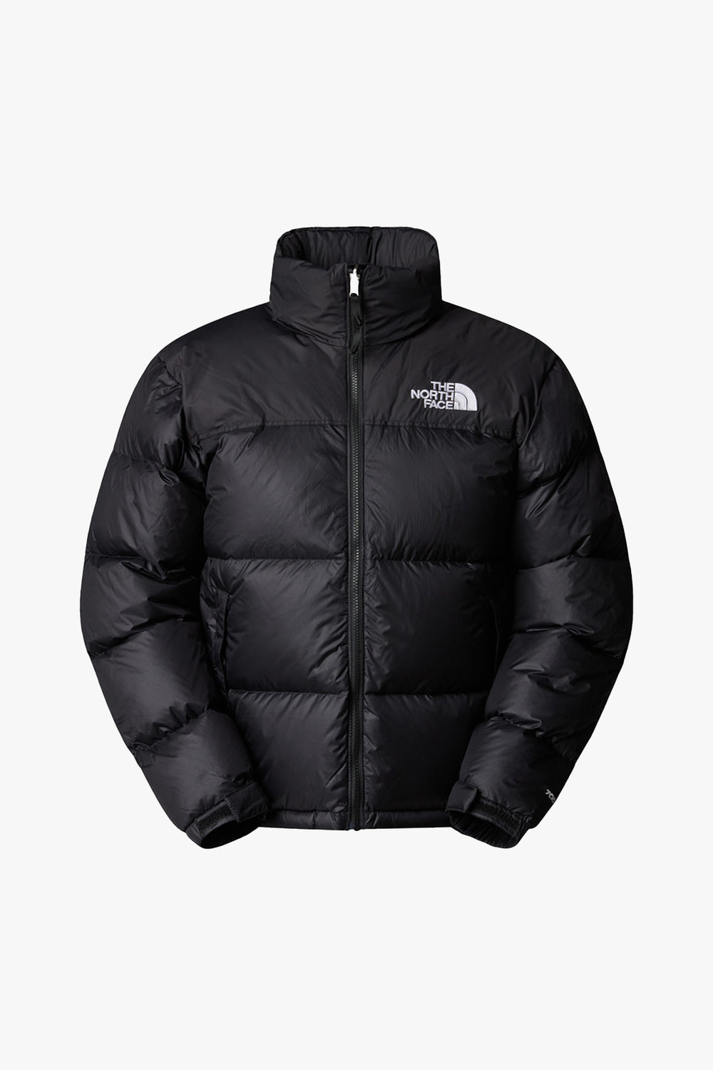 Men's 1996 Retro Nuptse Jacket